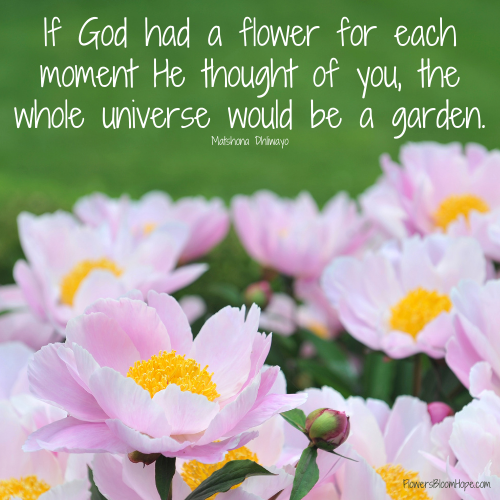 If God had a flower for each moment He thought of you, the whole universe would be a garden.