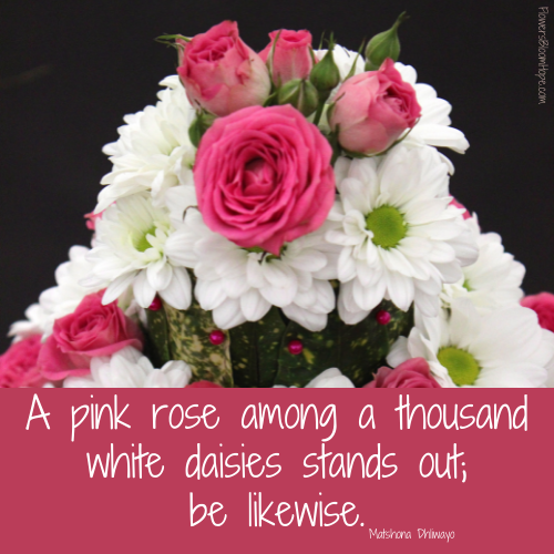 A pink rose among a thousand white daisies stands out; be likewise