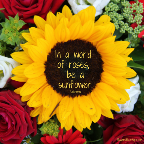 In a world of roses, be a sunflower.