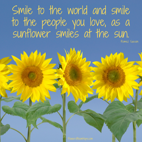 Smile to the world and smile to the people you love, as a sunflower smiles at the sun.