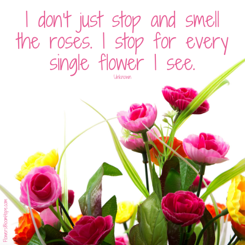 I don’t just stop and smell the roses. I stop for every single flower I see