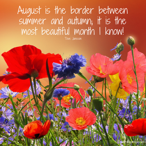 August is the border between summer and autumn; it is the most beautiful month I know