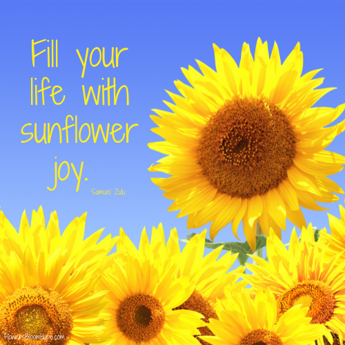 Fill your life with sunflower joy.
