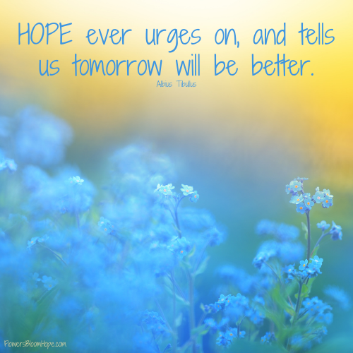 HOPE ever urges on, and tells us to-morrow will be better.