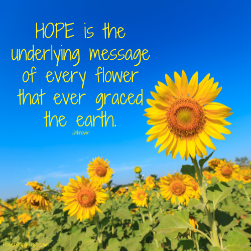 HOPE is the underlying message of every flower that ever graced the earth.