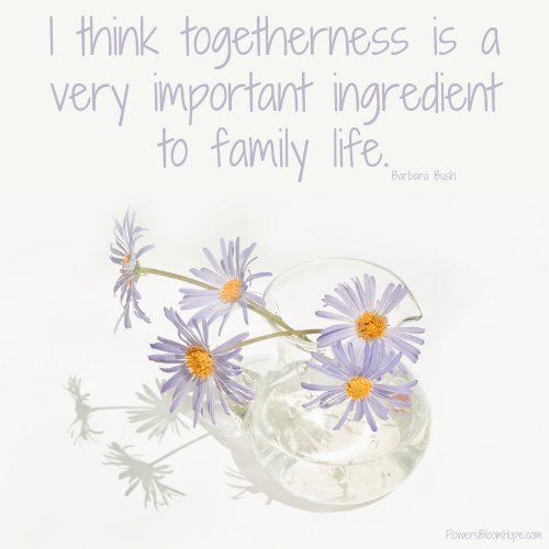 I think togetherness is a very important ingredient to family life.