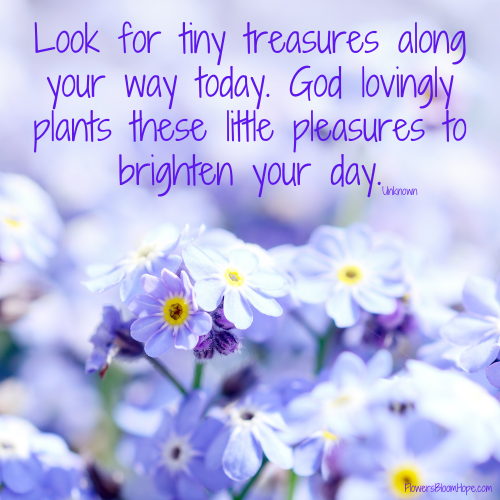Look for tiny treasures along your way today. God lovingly plants these little pleasures to brighten your day.