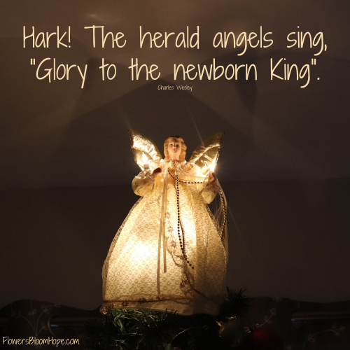 Hark! The herald angels sing, “Glory to the newborn King”.