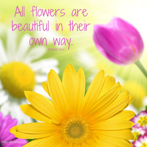 All flowers are beautiful in their own way.