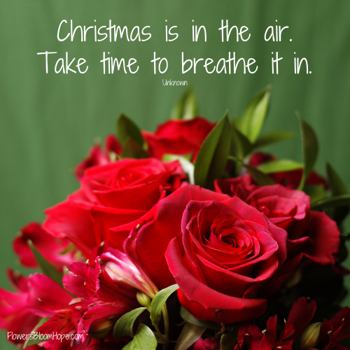 Christmas is in the air. Take time to breathe it in.