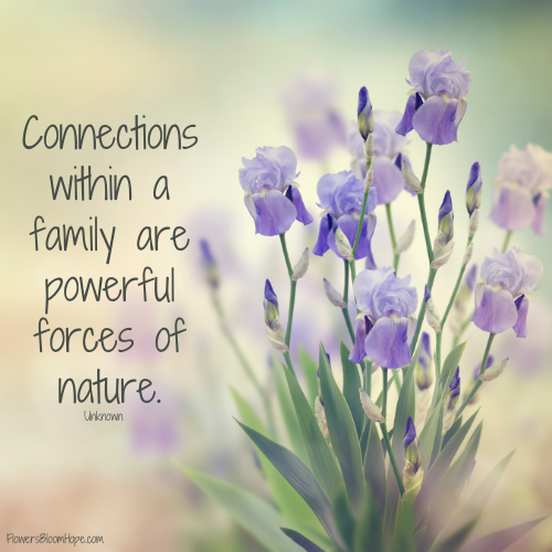 Connections within a family are powerful forces of nature.