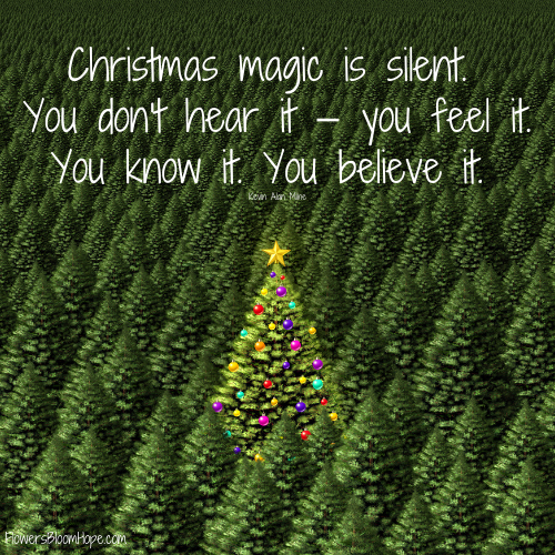 Christmas magic is silent. You don't hear it — you feel it. You know it. You believe it.