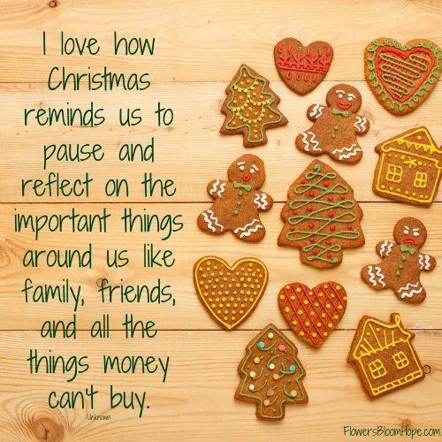 I love how Christmas reminds us to pause and reflect on the important things around us like family, friends, and all the things money can’t buy.