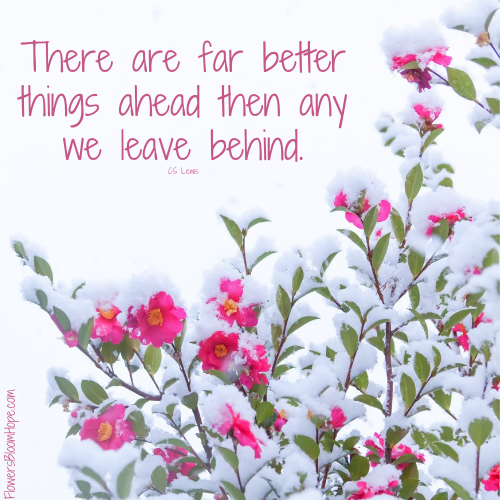 There are far better things ahead then any we leave behind.