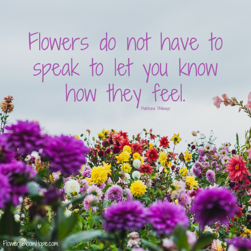 Flowers do not have to speak to let you know how they feel.