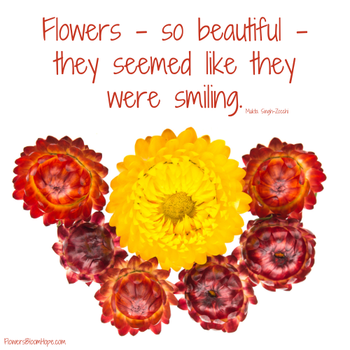 Flowers – so beautiful – they seemed like they were smiling