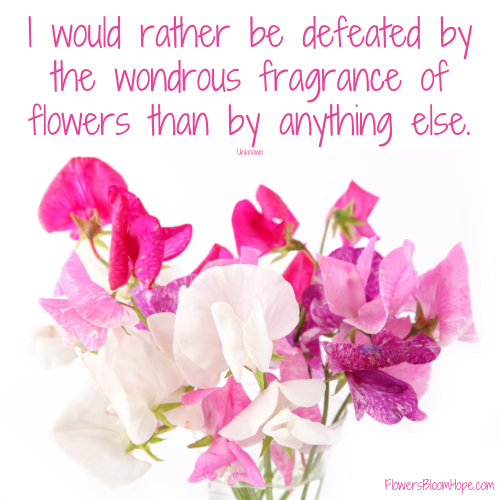 I would rather be defeated by the wondrous fragrance of flowers than by anything else.