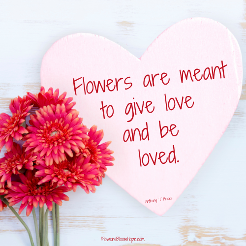 Flowers are meant to give love and be loved.