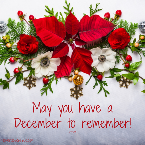 May you have a December to remember!