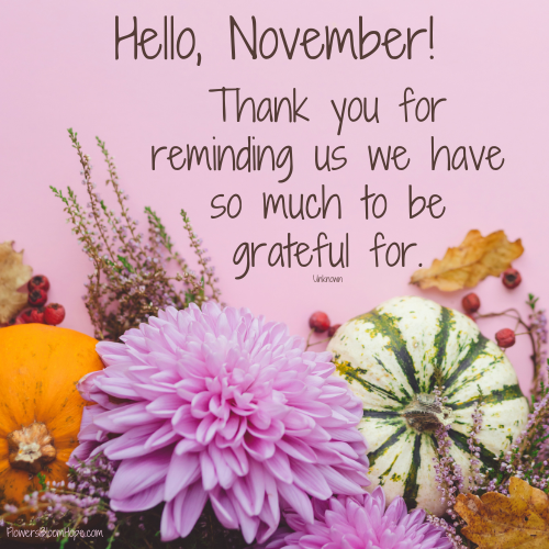 Hello, November! Thank you for reminding us we have so much to be grateful for.