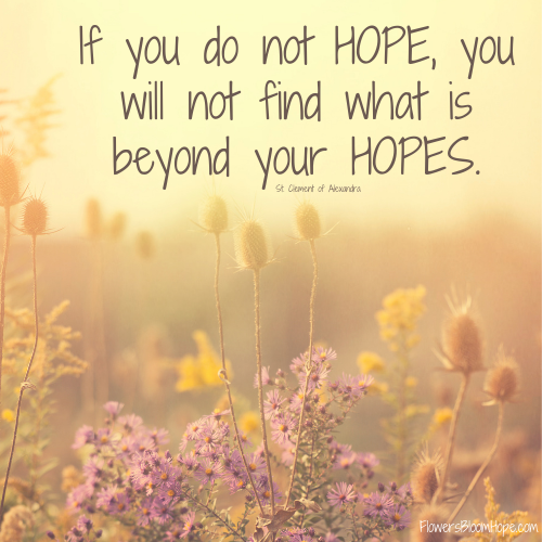If you do not HOPE, you will not find what is beyond your HOPES.