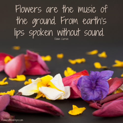 Flowers are the music of the ground. From earth’s lips spoken without sound.