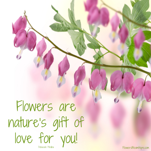 Flowers are nature’s gift of love for you!