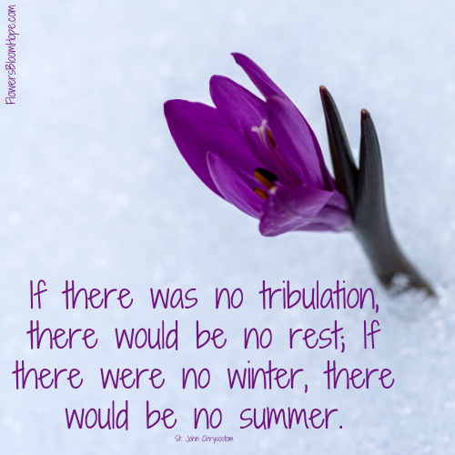 If there was no tribulation, there would be no rest; If there were no winter, there would be no summer.