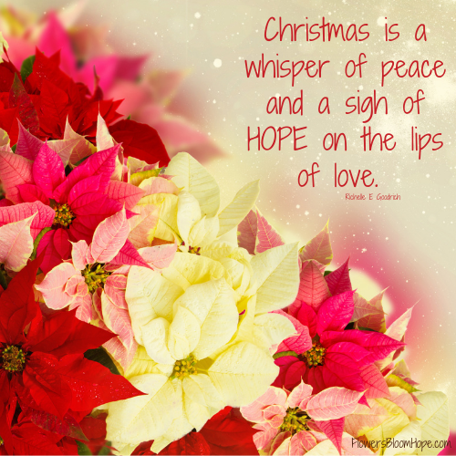 Christmas is a whisper of peace and a sigh of HOPE on the lips of love.