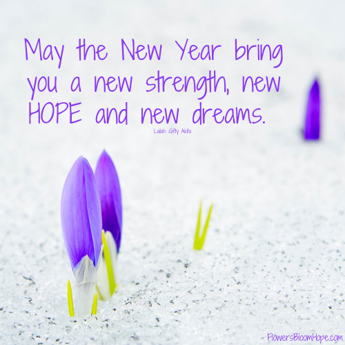 May the New Year bring you a new strength, new HOPE and new dreams.