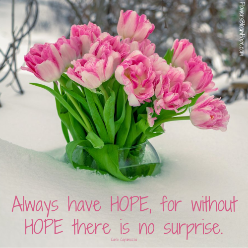 Always have HOPE, for without HOPE there is no surprise.