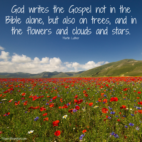 God writes the Gospel not in the Bible alone, but also on trees, and in the flowers and clouds and stars.