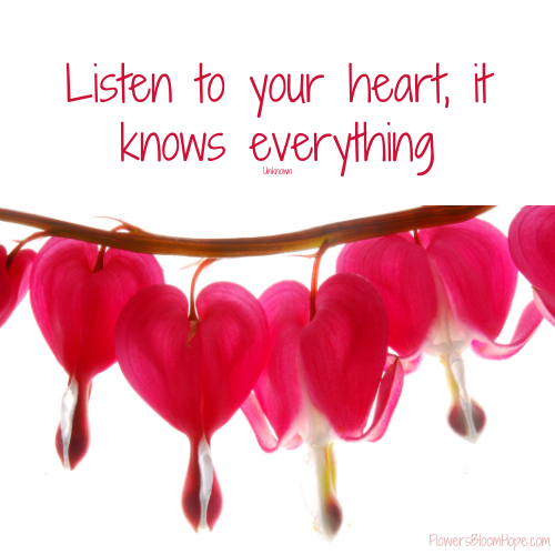 Listen to your heart, it knows everything.