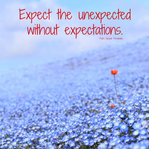 Expect the unexpected without expectations.