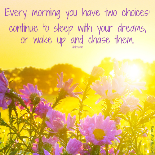 Every morning you have two choices: continue to sleep with your dreams, or wake up and chase them.