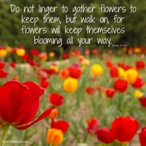 Do not linger to gather flowers to keep them, but walk on, for flowers will keep themselves blooming all your way.
