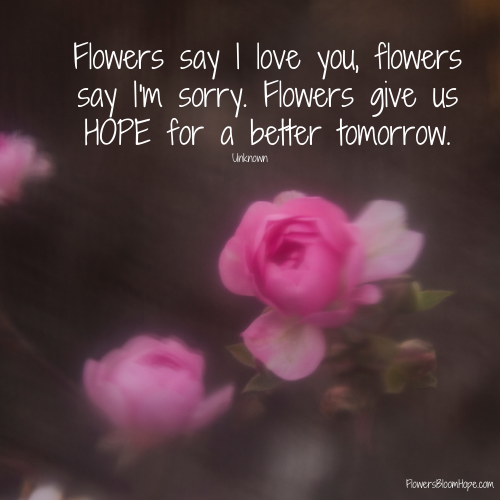 Flowers say I love you, flowers say I'm sorry. Flowers give us HOPE for a better tomorrow.