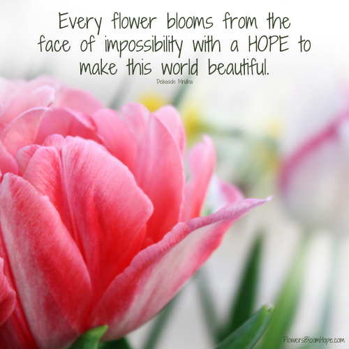 Every flower blooms from the face of impossibility with a hope to make this world beautiful.
