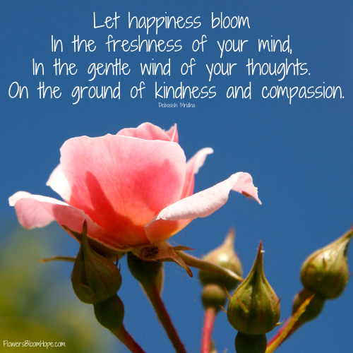 Let happiness bloom In the freshness of your mind, In the gentle wind of your thoughts. On the ground of kindness and compassion.