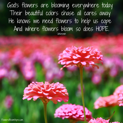 God's flowers are blooming everywhere today Their beautiful colors chase all cares away He knows we need flowers to help us cope And where flowers bloom so does hope.