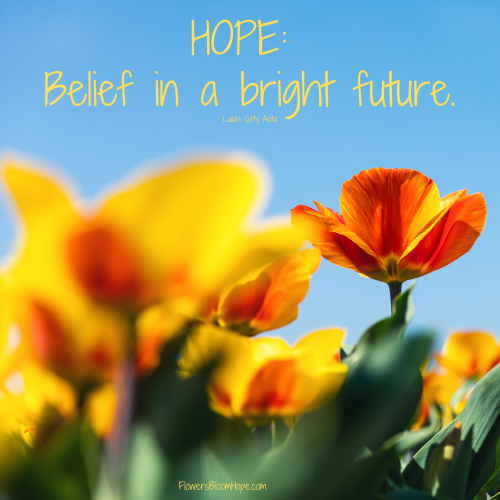 HOPE: Belief in a bright future.