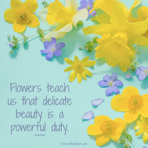 Flowers teach us that delicate beauty is a powerful duty.