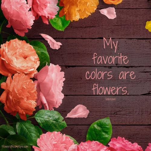 My favorite colors are flowers.