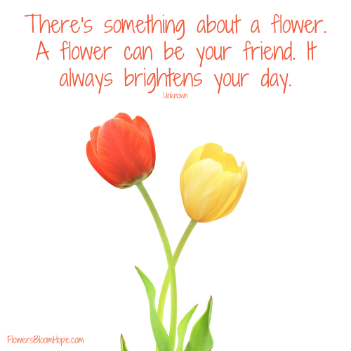 There's something about a flower. A flower can be your friend. It always brightens your day.