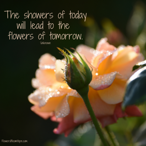 The showers of today will leads to the flowers of tomorrow.