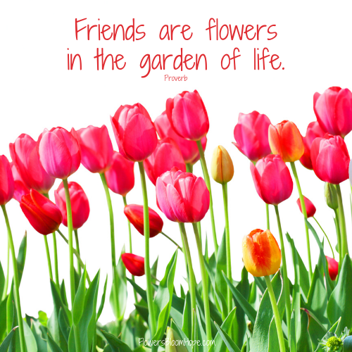 Friends are flowers in the garden of life.