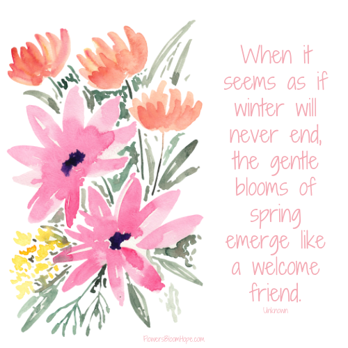 When it seems as if winter will never end, the gentle blooms of spring emerge like a welcome friend.