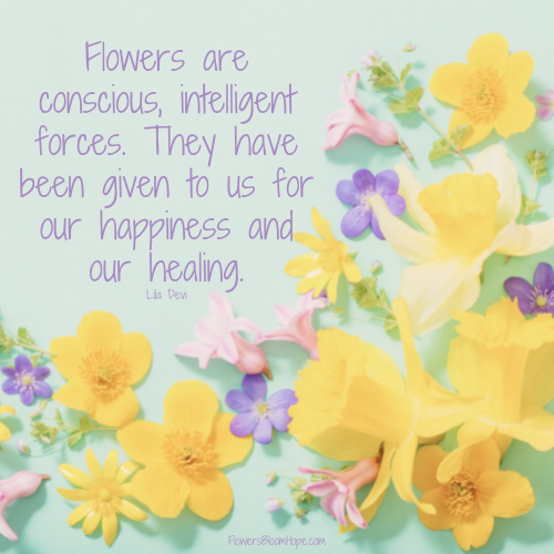 Flowers are conscious, intelligent forces. They have been given to us for our happiness and our healing.