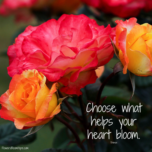 Choose what makes your heart bloom.