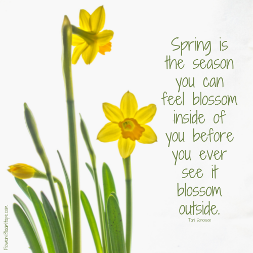 Spring is the season you can feel blossom inside of you before you ever see it blossom outside.